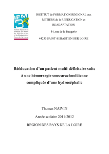 Nantes-2012-NAIVIN-Neurologie