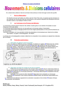 protocole du groupe Division cellulaire et mouvement ( PDF