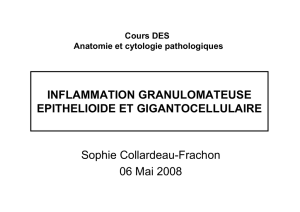 inflammation granulomateuse - S. Collardeau-Frachon