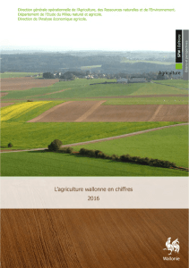 L`agriculture wallonne en chiffres - Portail de l`Agriculture wallonne