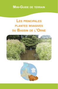 Les principales plantes invasives du bassin de l`Orne