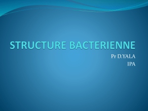 STRUCTURE BACTERIENNE