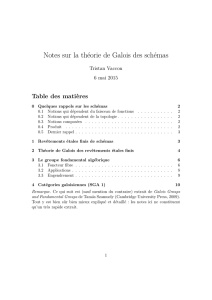 Notes sur la théorie de Galois des schémas