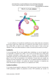 TD cycle cellulaire (PDF, 289.55 Ko) - facmed-univ-oran