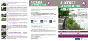Auxerre entre minéral et végétal
