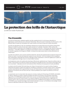 La protection des krills de l`Antarctique