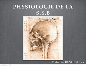 physiologie de la ssb