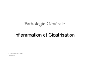 Pathologie Générale Inflammation et Cicatrisation