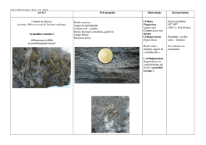 Fiche arrêt 3 : péridotites et granulites