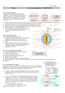 1 1S Cours Physique Chap 4 : Le champ magnétique : EXERCICES