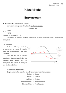 1/6 Bioch.cours Enzymologie – Neel. Biochimie. Enzymologie. 1