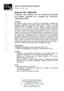 version doc - Institut Montefiore