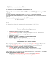 Suite Cours n°7