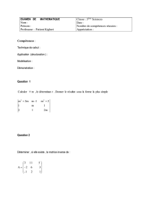 Exercices de révision : Matrices , déterminants , système linéaires