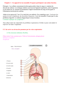 III. L`appareil respiratoire peut être agressé.