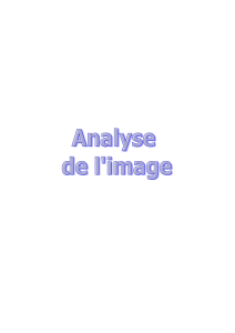 SOMMAIRE Introduction à l`analyse de l`image 4 1. Les différents
