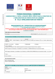 fonds regional carbone - Région Occitanie / Pyrénées