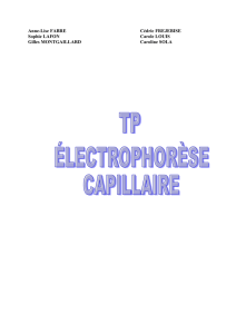 electrophorese capillaire