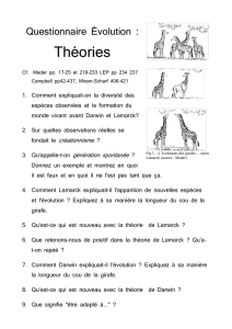 Questionnaire Évolution : Théories Fig 1. : L`évolutions des girafes