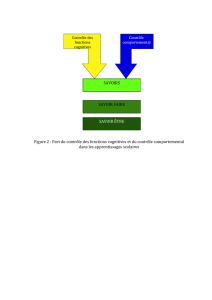 Figure 2 : Part du contrôle des fonctions cognitives et du contrôle
