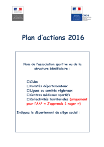 Plan d`Actions CNDS 2016