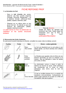 indications de réponses - Pages pédagogiques du Jardin botanique