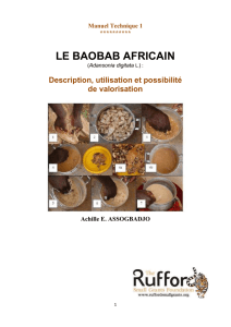 Manuel Technique 1 ********** LE BAOBAB AFRICAIN (Adansonia