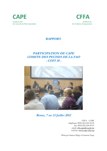 Réunion du 30ème Comité des Pêches de la FAO - CFFA-CAPE