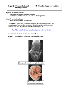 Leçon 3 : Parenté et diversité TP 11 embryologie des vertébrés