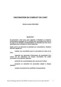 Poly de vaccination CN/CT