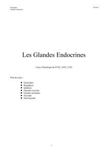 I Généralités sur les glandes endocrines