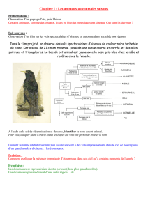 Cours animaux ( DOC