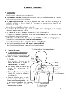 L`appareil respiratoire I - Généralités : Il y a 2 sortes de respiration