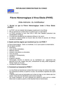 Fièvre Hemorragique à Virus Ebola
