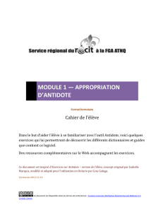 Module 1 - Appropriation d`Antidote (version formulaire