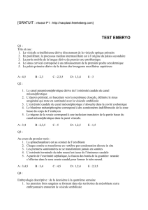test embryo - carabinsnicois.fr