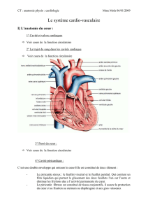 L`appareil cardiovasculaire