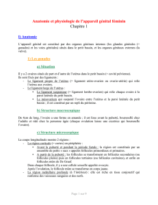 gyneco_ch_1 - Page d`accueil
