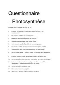 Questionnaire : Photosynthèse Cf. Mader pp.98