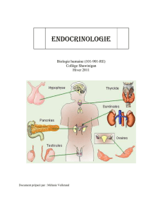Cahier réponse endocrinologie