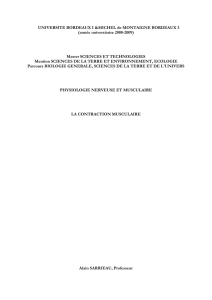 Documents cours Contraction Musculaire