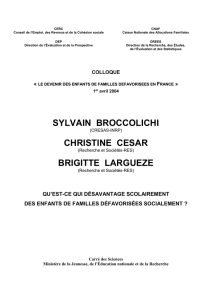 Papier Broccolichi-César