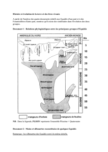 l`évolution des équidés et des foraminifères
