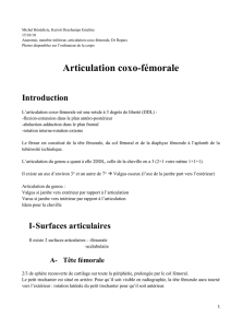 Michel Bénédicte, Kerisit Deschamps Emeline 15/10/10 Anatomie