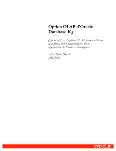 Option OLAP d`Oracle Database 10g