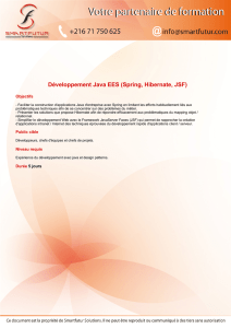 Développement Java EES (Spring, Hibernate, JSF)
