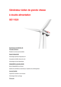 Générateur éolien de grande vitesse à double alimentation SE11520