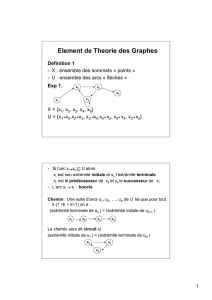 Element de Theorie des Graphes