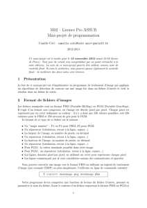 M02 – Licence Pro ASSUR Mini-projet de programmation