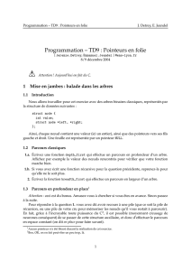 Programmation – TD9 : Pointeurs en folie